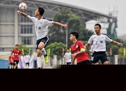 核验节点 核验节点